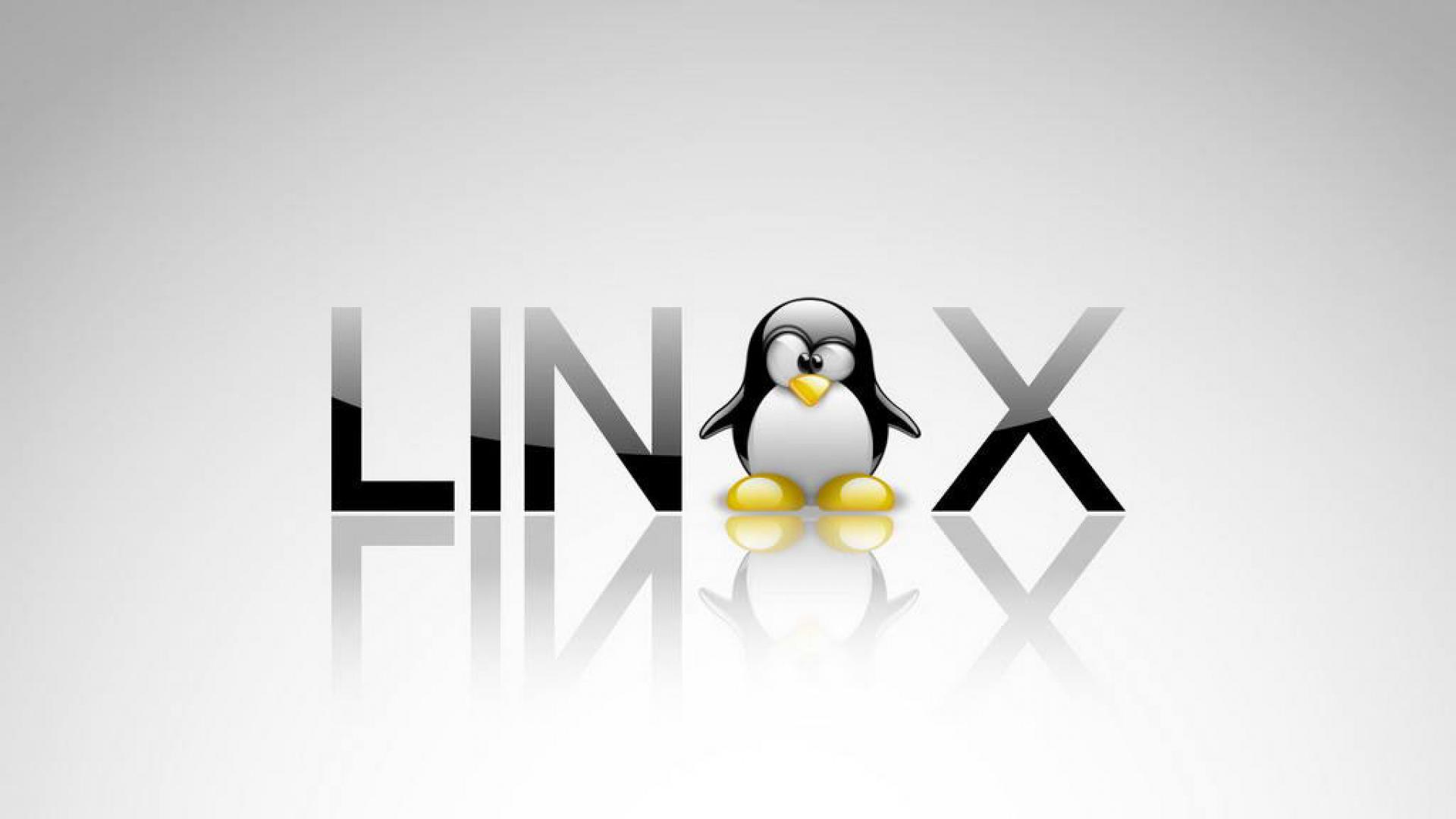 Linux环境变量